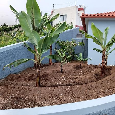 Calheta Paradise Holiday Home Arco da Calheta  Exterior foto